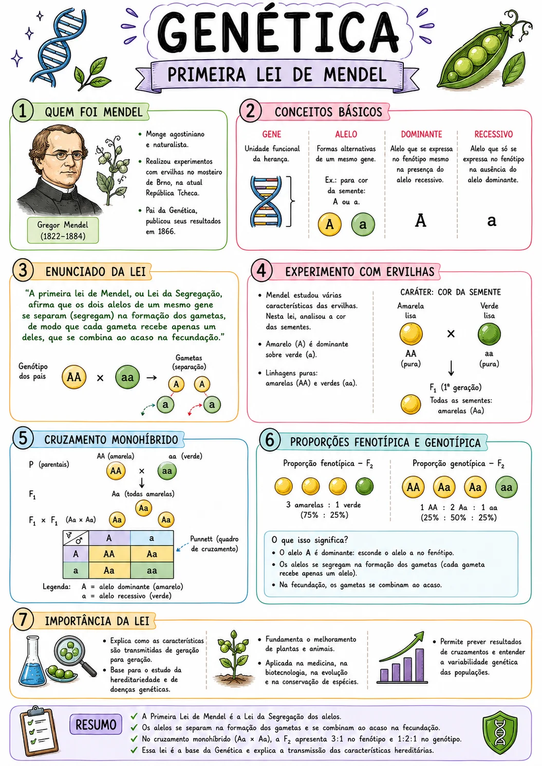 Card de Biologia